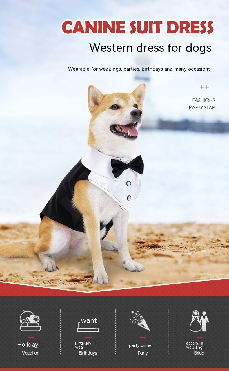 Wedding Attire : Dog Tuxedo with Bow Tie