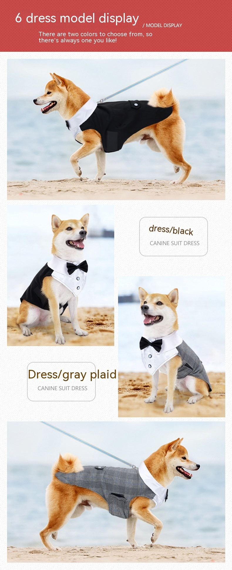 Wedding Attire : Dog Tuxedo with Bow Tie