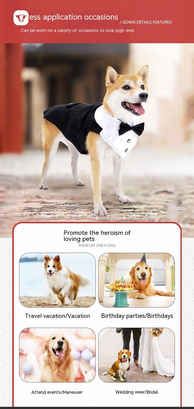 Wedding Attire : Dog Tuxedo with Bow Tie