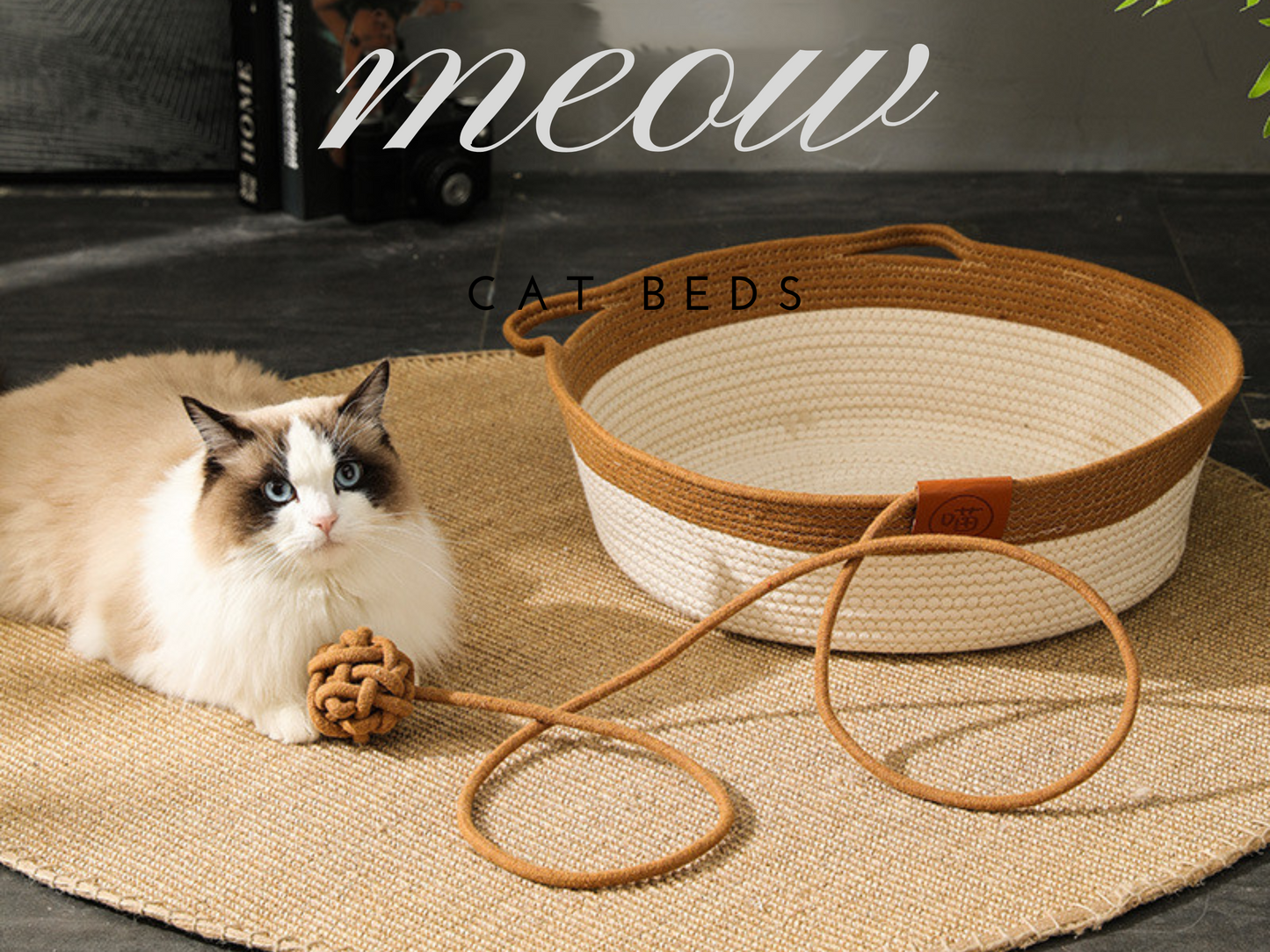 Cat Accessories & Kitten Supplies