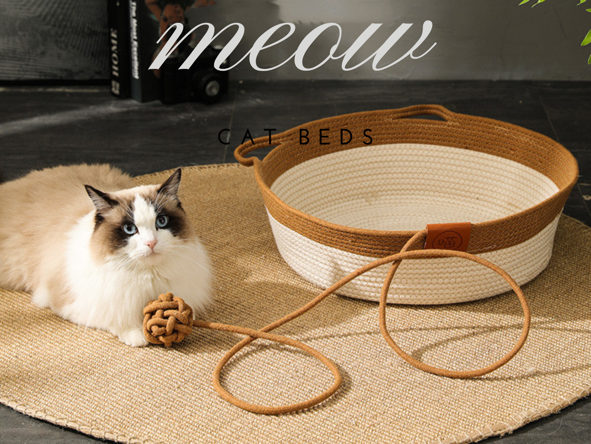 Cat Accessories & Kitten Supplies