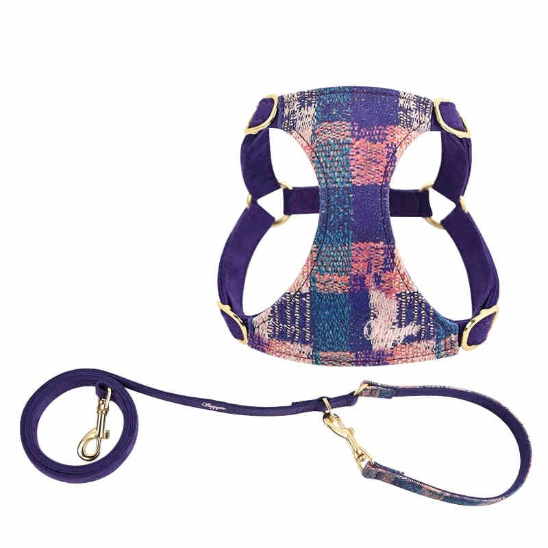 Dog Hand Holding Rope Vest Walking Dog