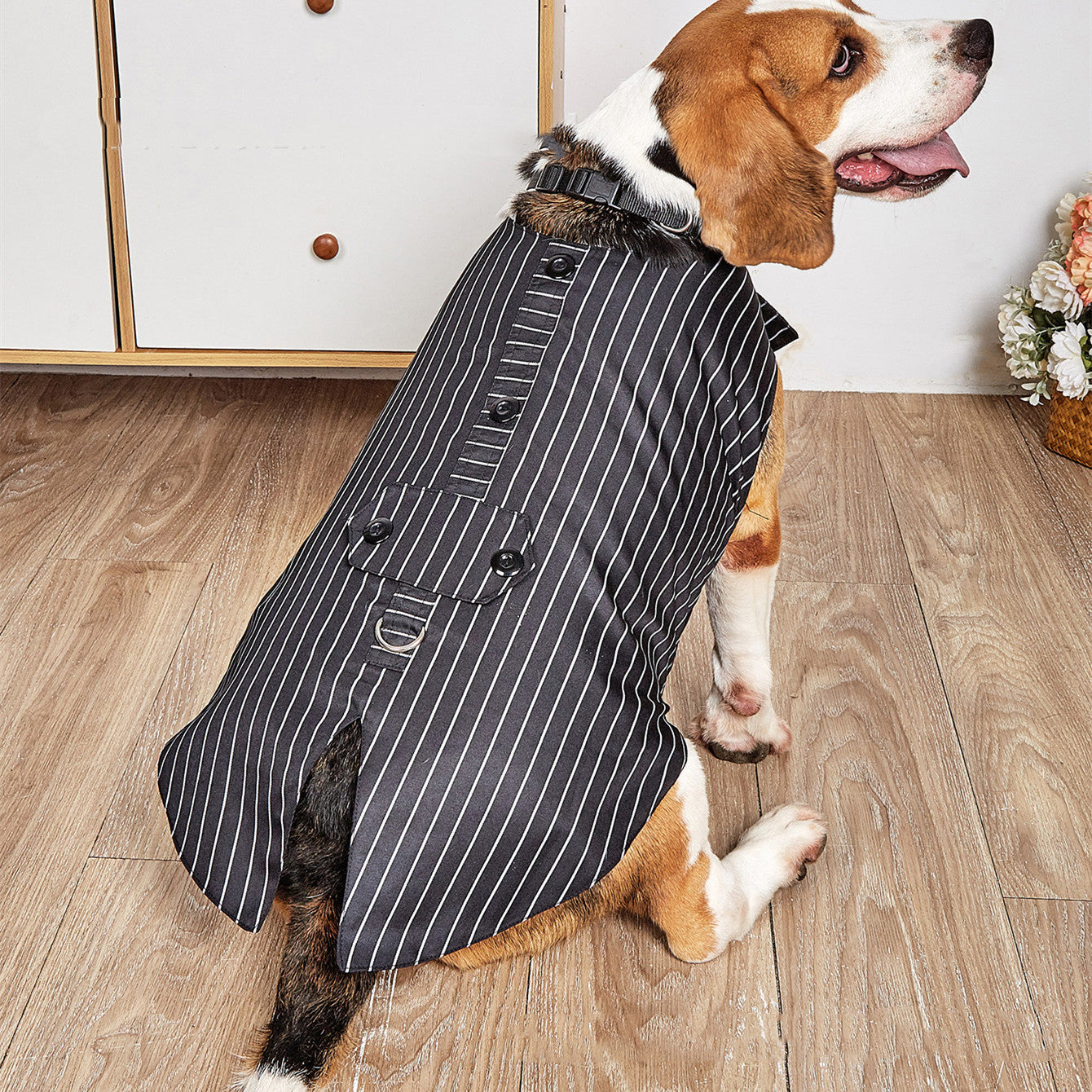 Swallowtail Dog Wedding Suit