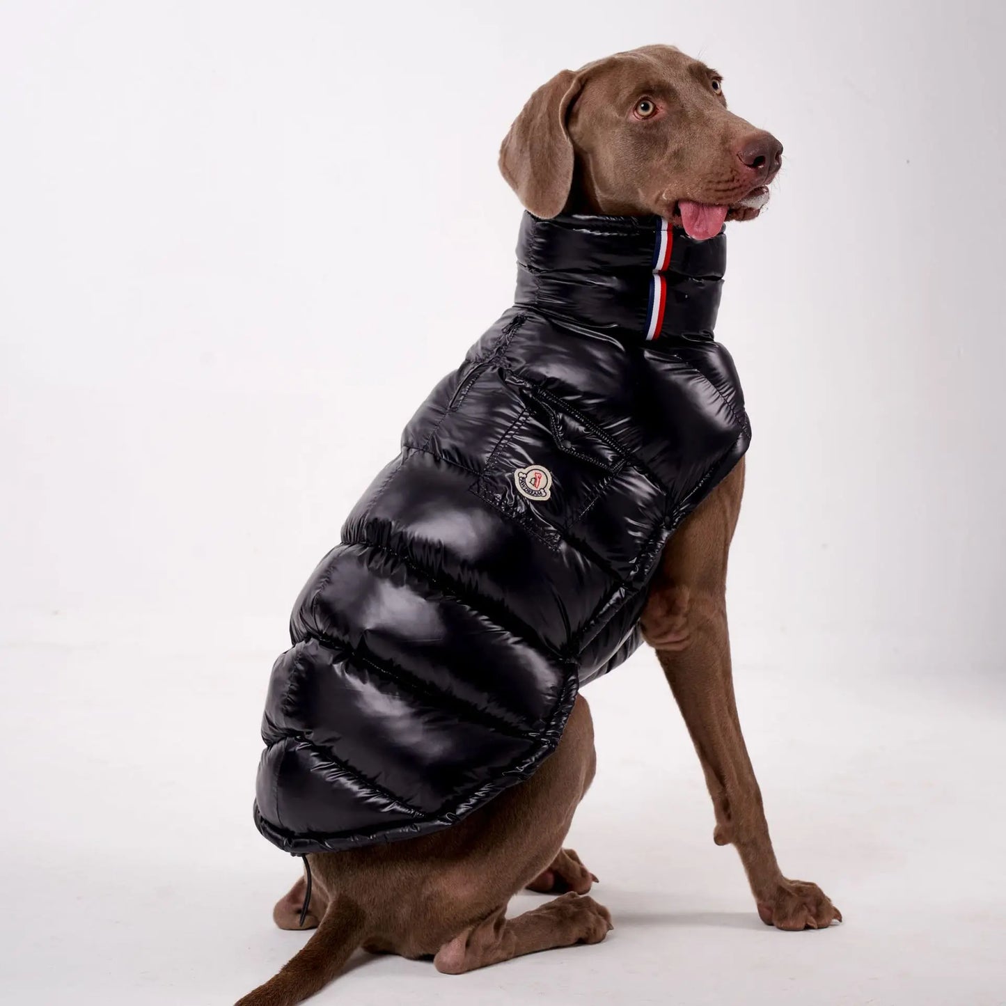 Luxury Dog Puffer Jacket – Black, White, Baby Pink & Baby Blue