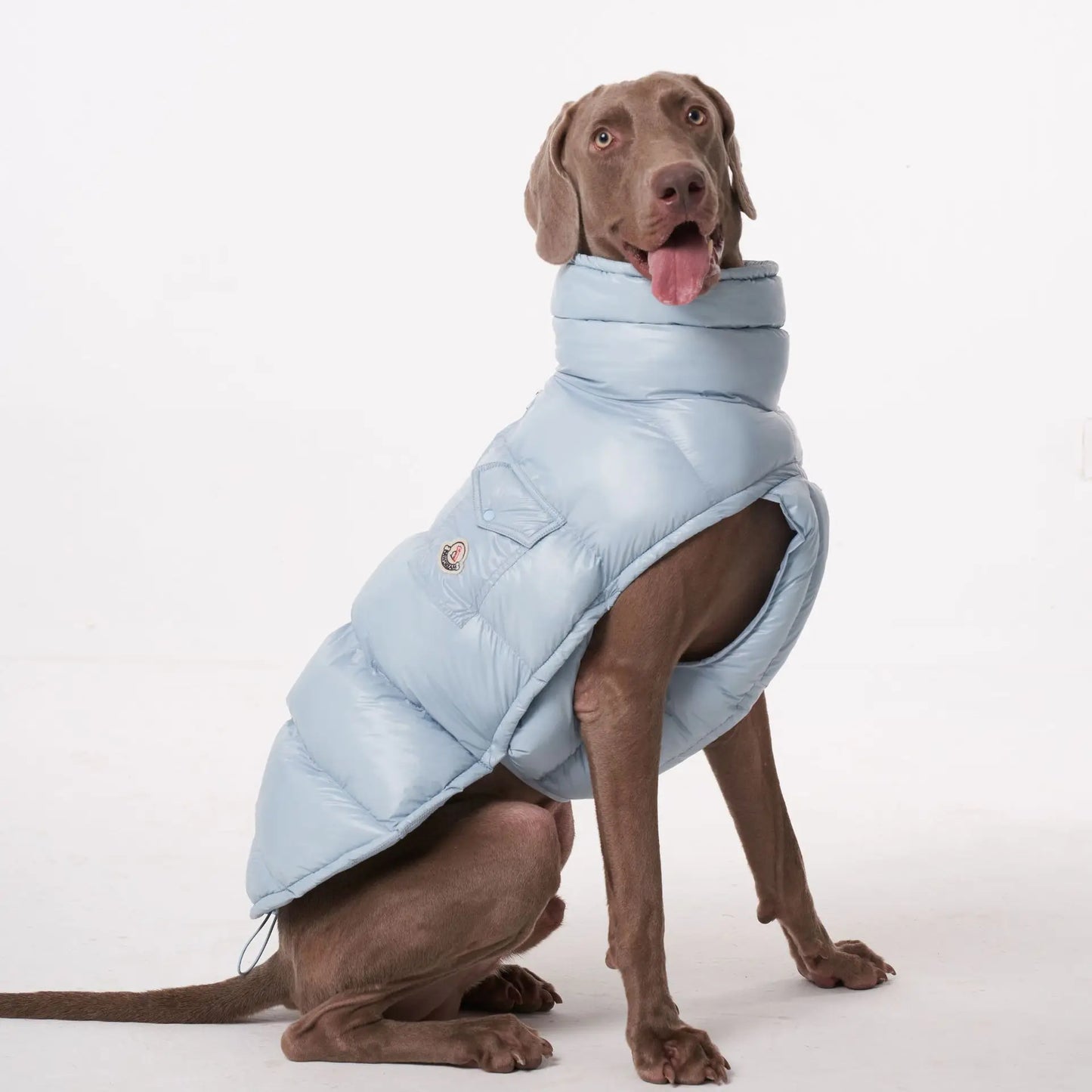 Luxury Dog Puffer Jacket – Black, White, Baby Pink & Baby Blue