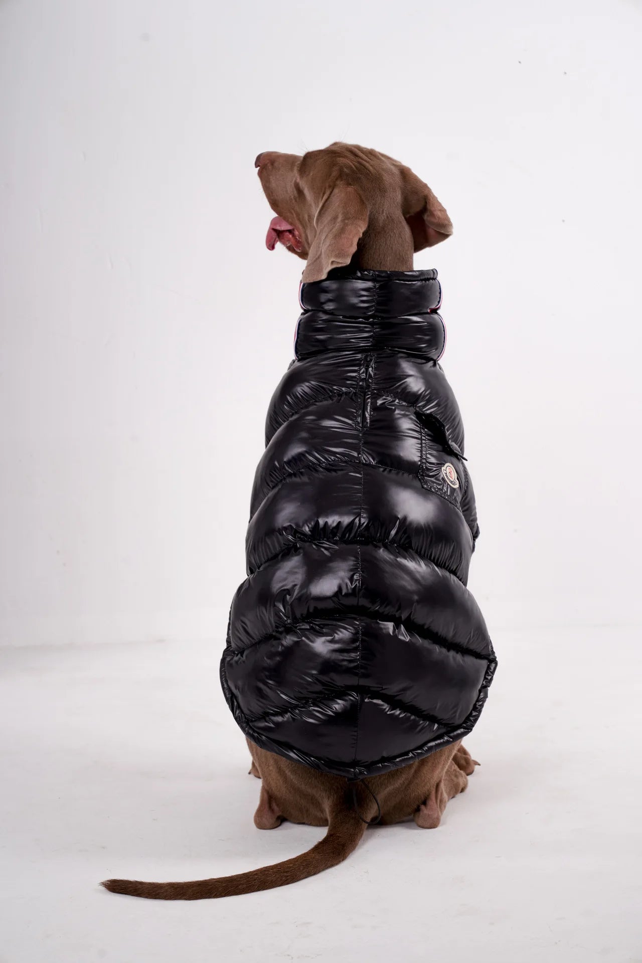 Luxury Dog Puffer Jacket – Black, White, Baby Pink & Baby Blue