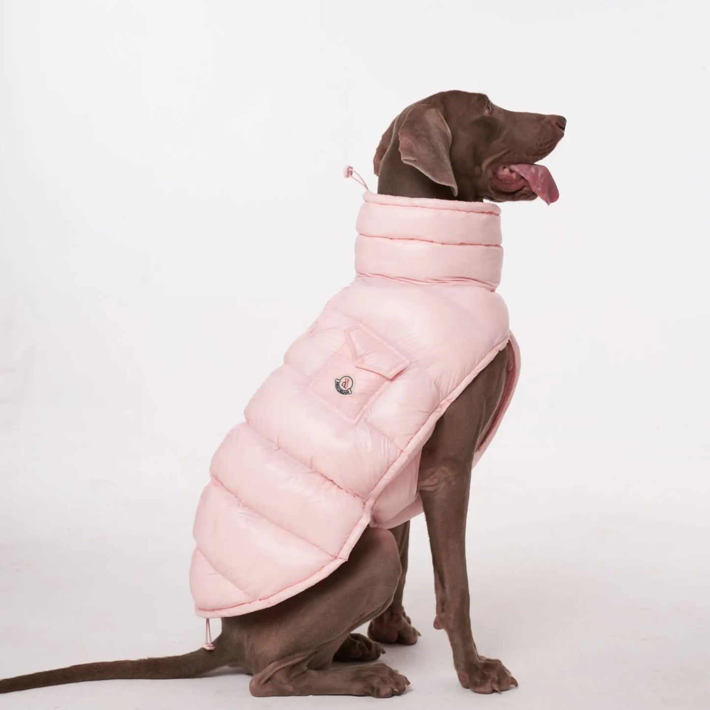 Luxury Dog Puffer Jacket – Black, White, Baby Pink & Baby Blue
