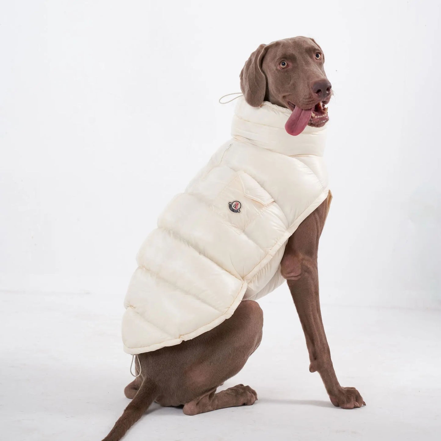 Luxury Dog Puffer Jacket – Black, White, Baby Pink & Baby Blue