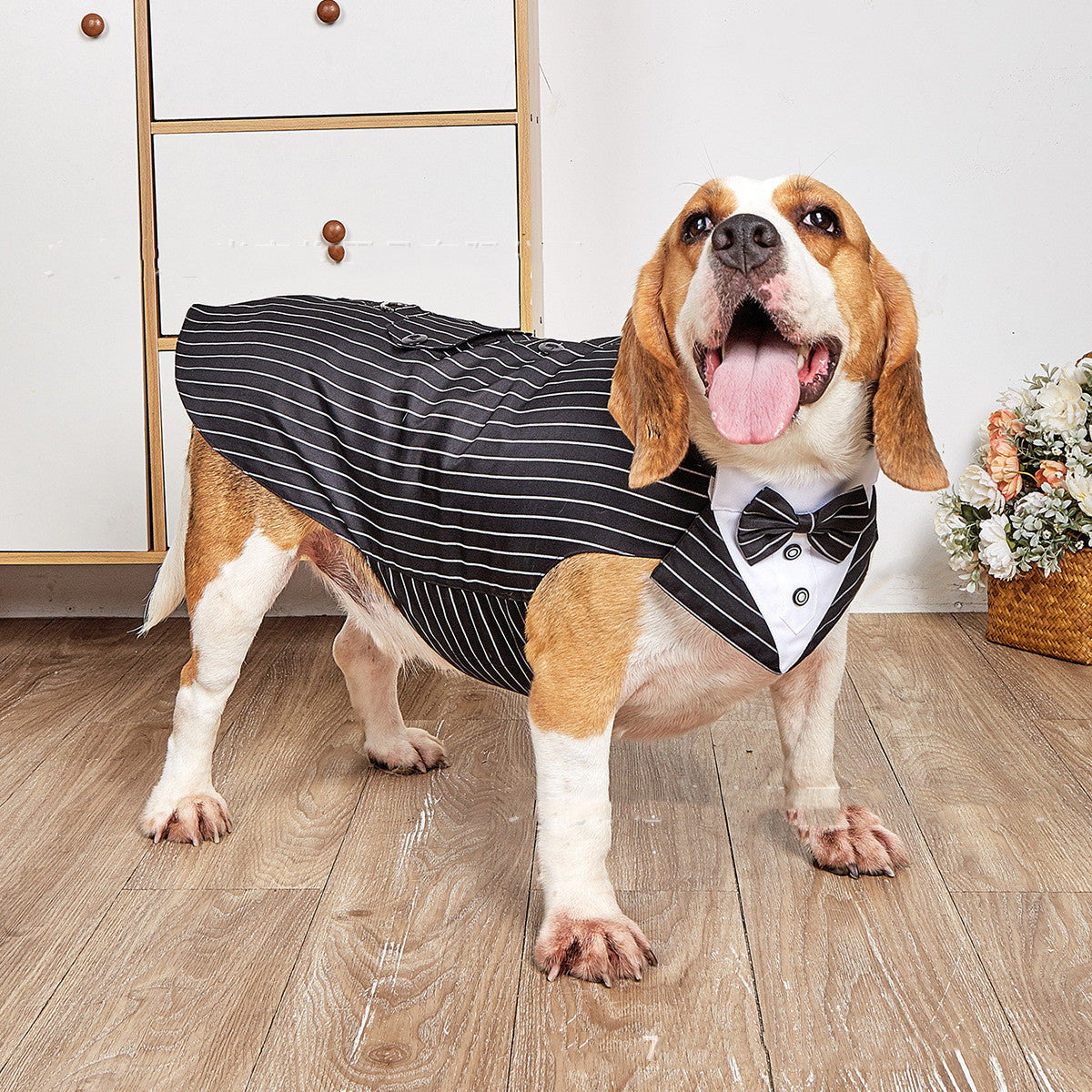 Swallowtail Dog Wedding Suit