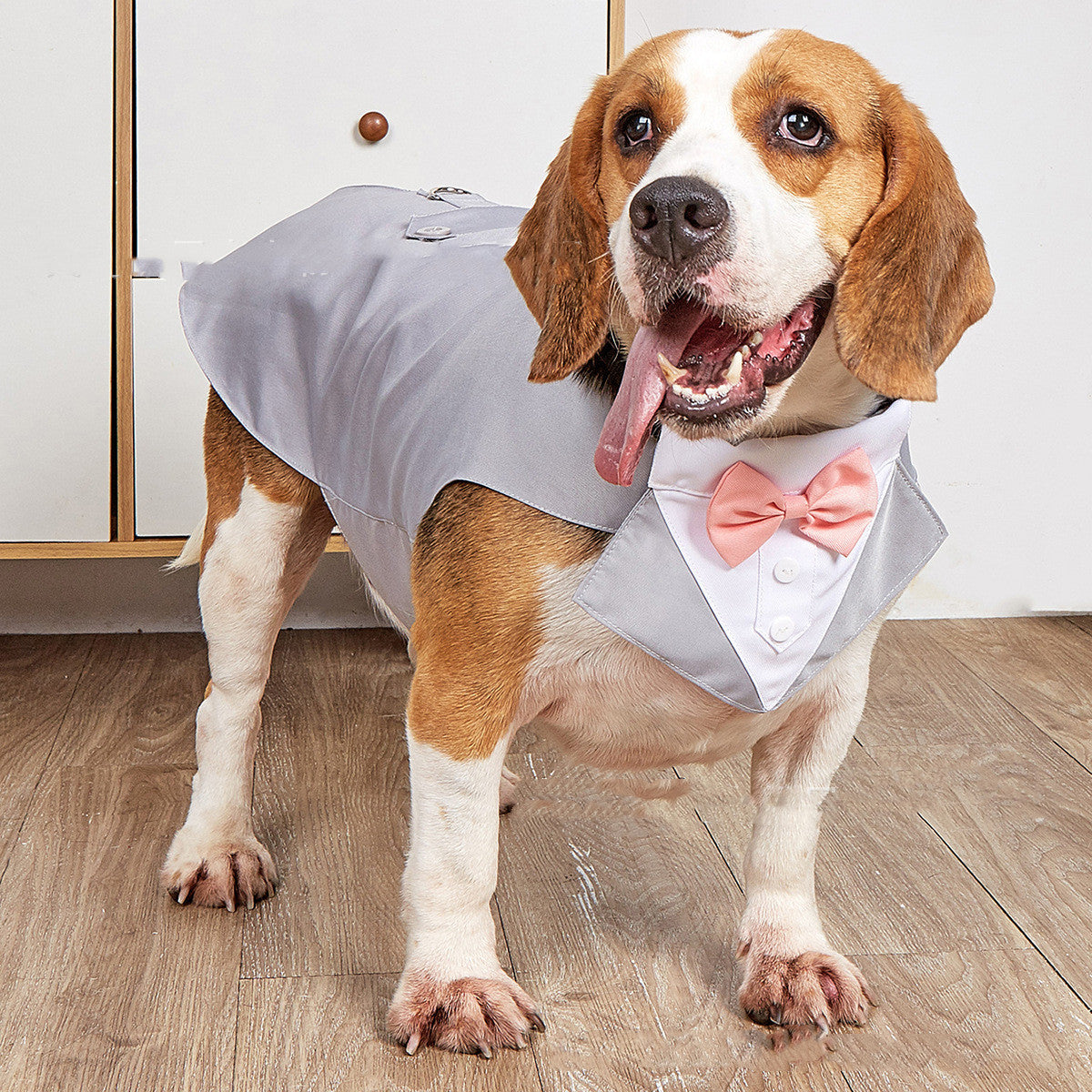 Swallowtail Dog Wedding Suit