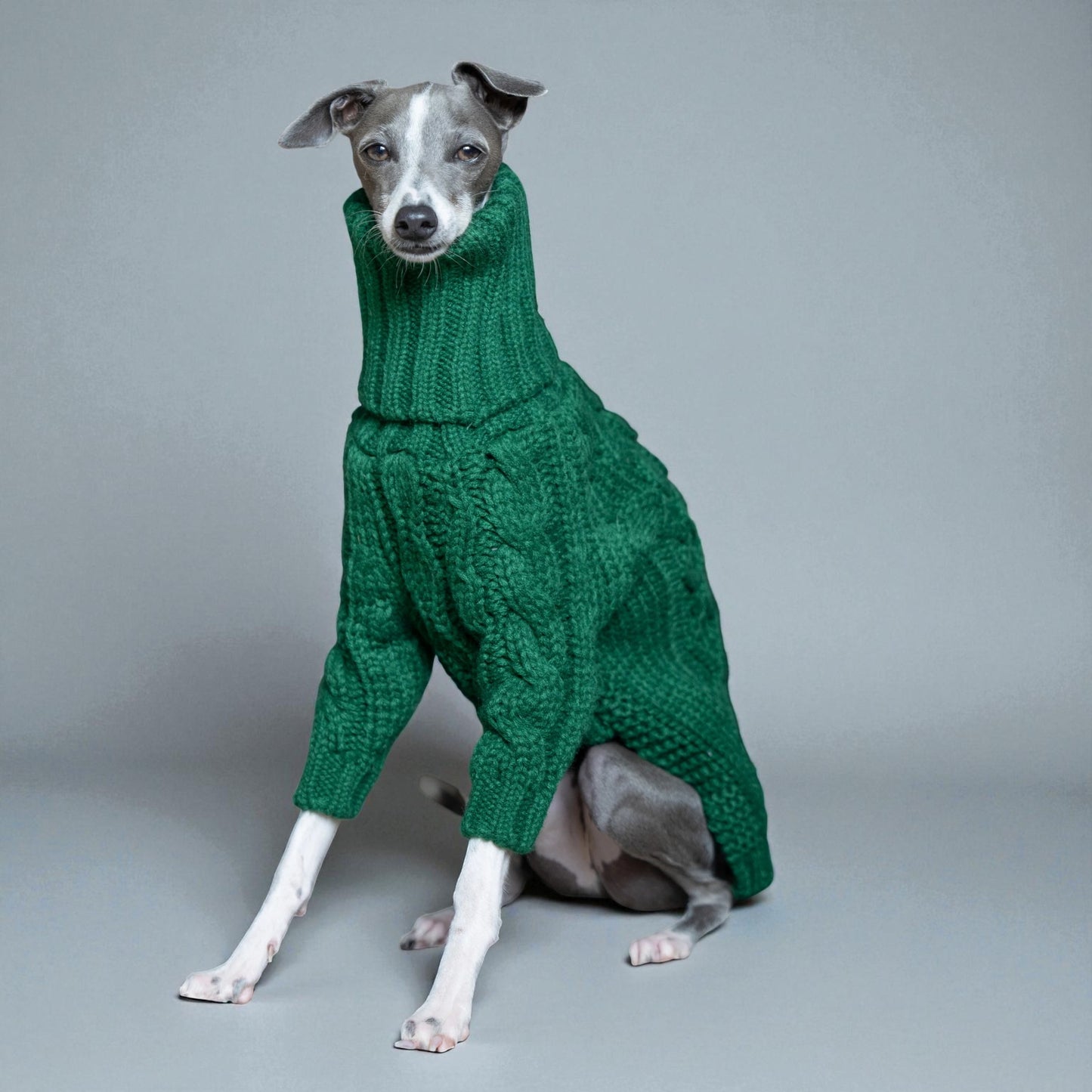 Emerald Green Knit Sweater for Italian Greyhounds & Whippets