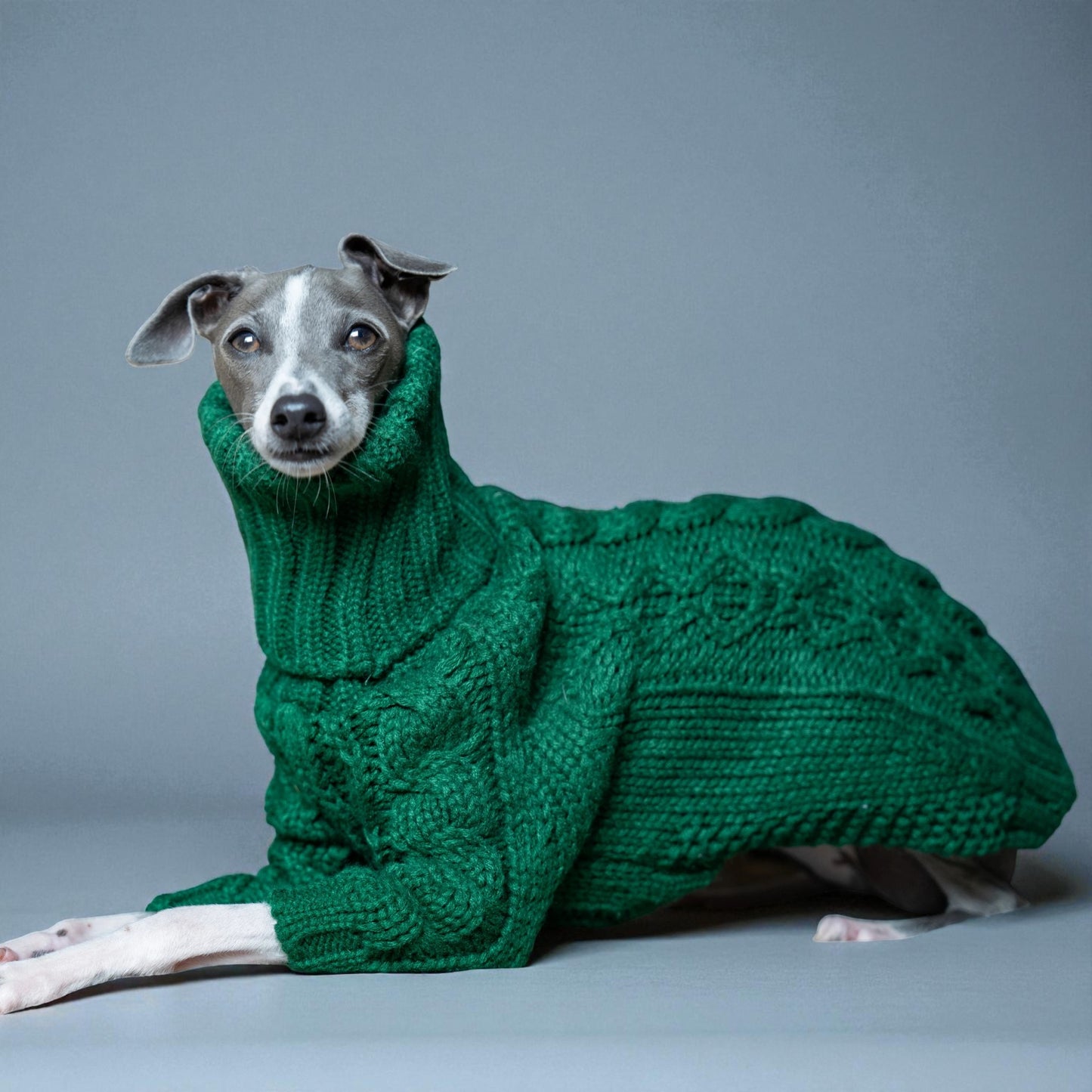 Emerald Green Knit Sweater for Italian Greyhounds & Whippets