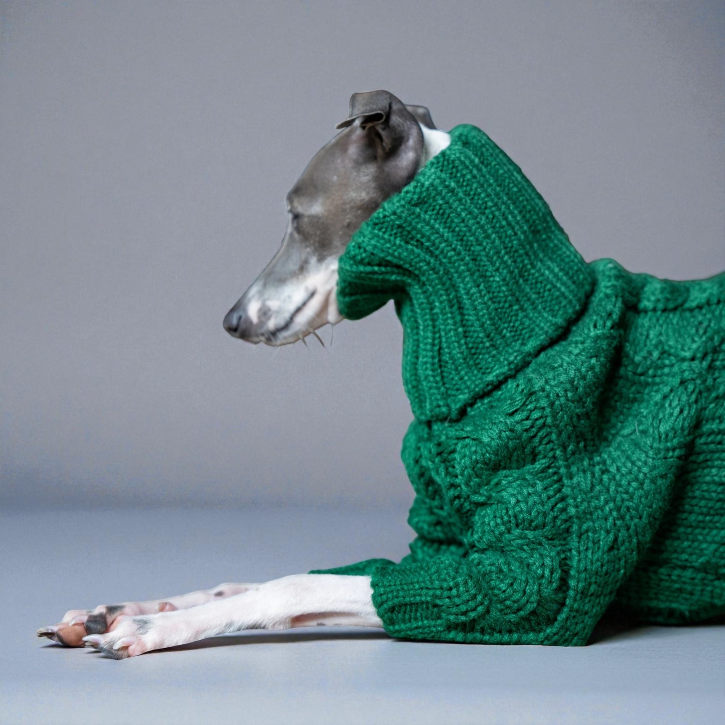 Emerald Green Knit Sweater for Italian Greyhounds & Whippets