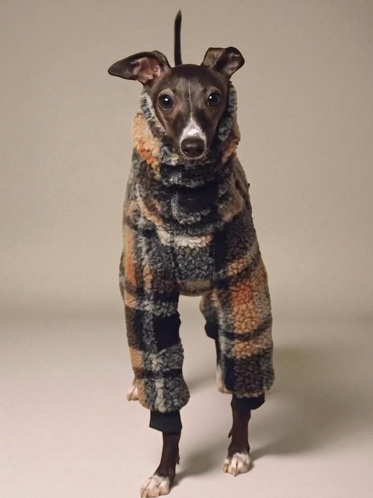 Teddy Sherpa Dog Jumper – Beige, Brown & Cream
