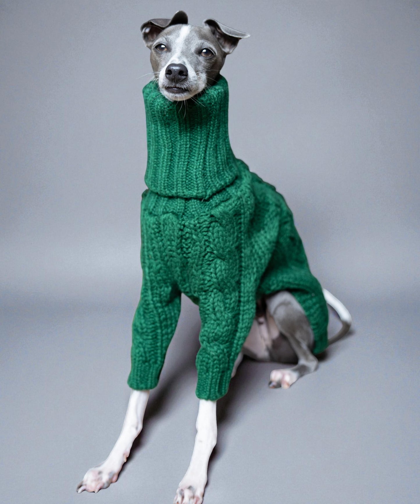 Emerald Green Knit Sweater for Italian Greyhounds & Whippets