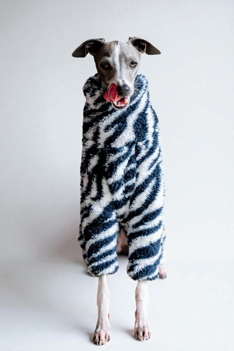 Zebra Print Fleece Onesie for Italian Greyhounds & Whippets