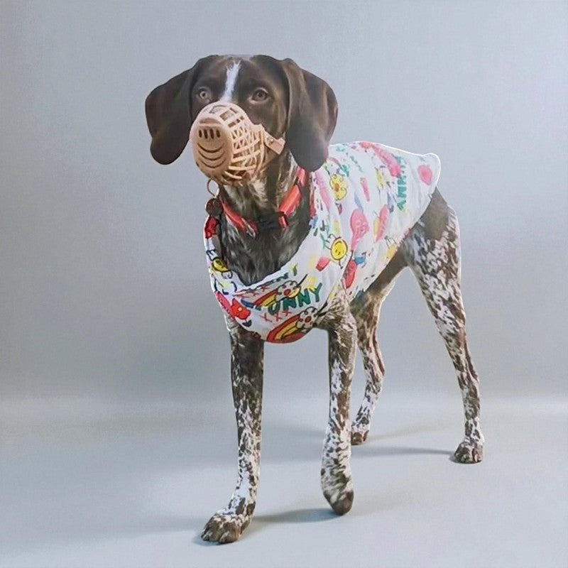 Dog Winter Warm Down Vest Shell Jacket