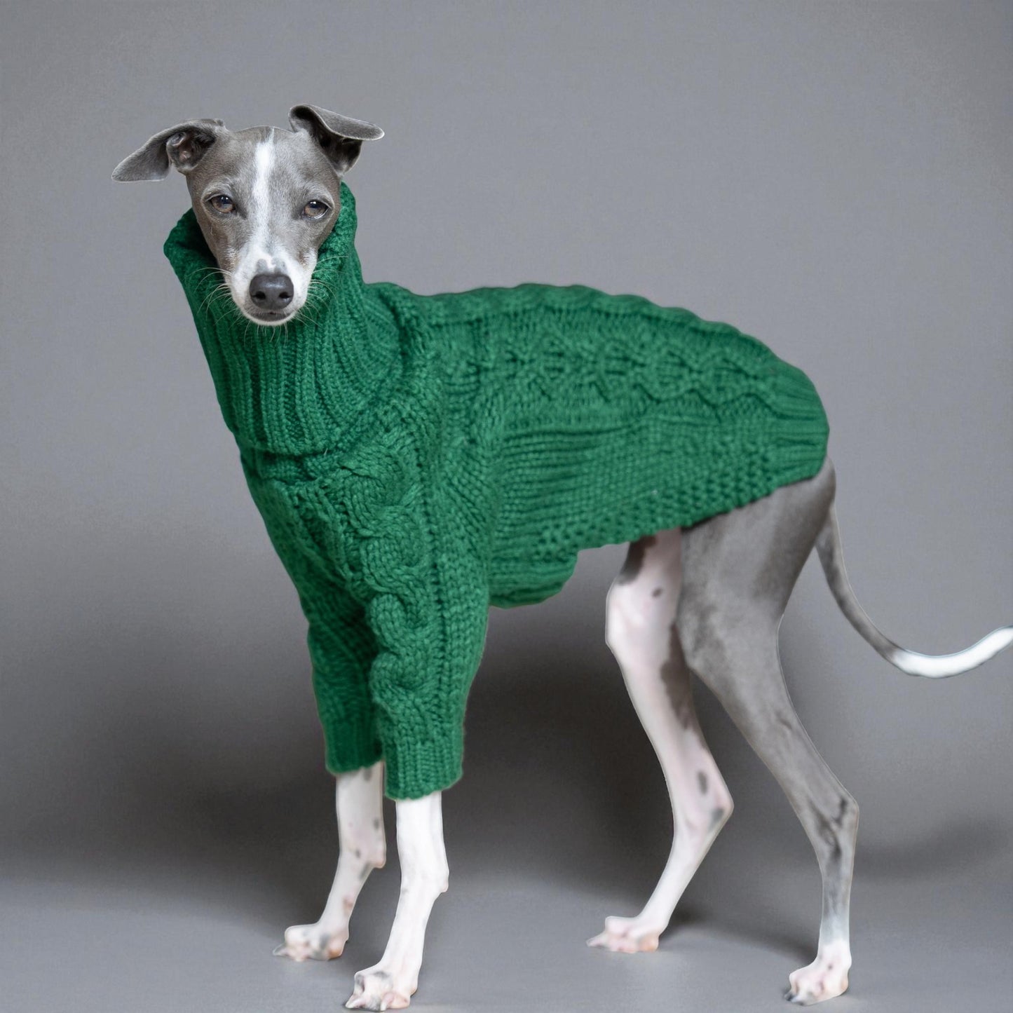 Emerald Green Knit Sweater for Italian Greyhounds & Whippets