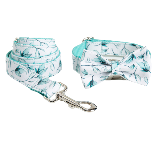 Personalised Dog Collar and lead
