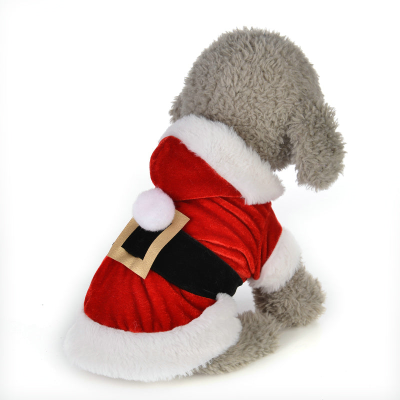 Happy Lion Dog Santa Costume