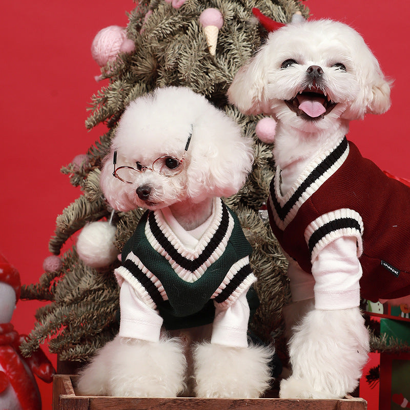 Varsity styled Jumper For Dogs , Dog Jumper UK , Dog Jumpers London
