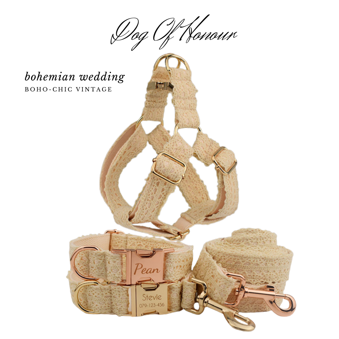 Dog Wedding Collar Harness and Lead set