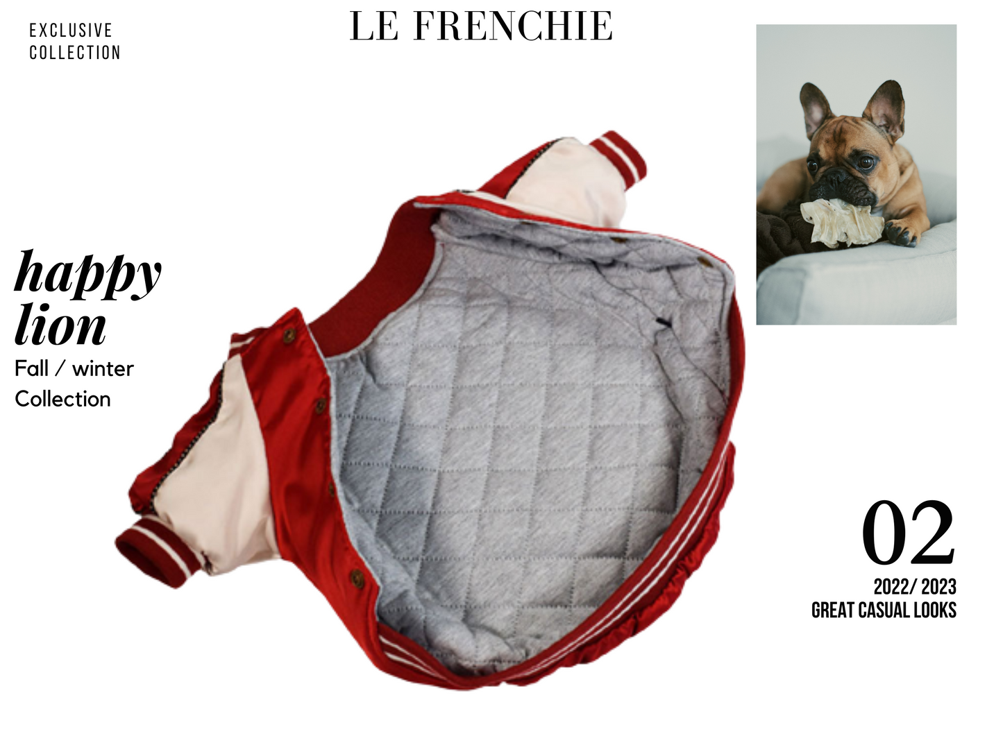 French Bulldog Varsity Bomber Jacket