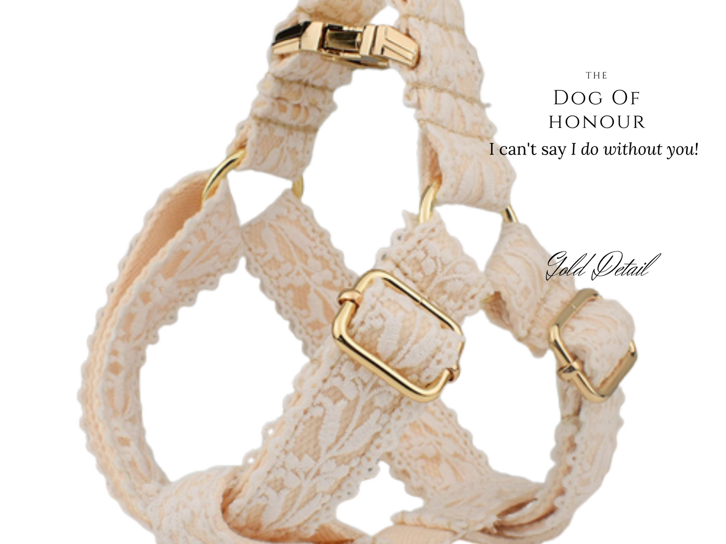 White Lace Dog Wedding Harness and Lead Set , Romantic Wedding Theme