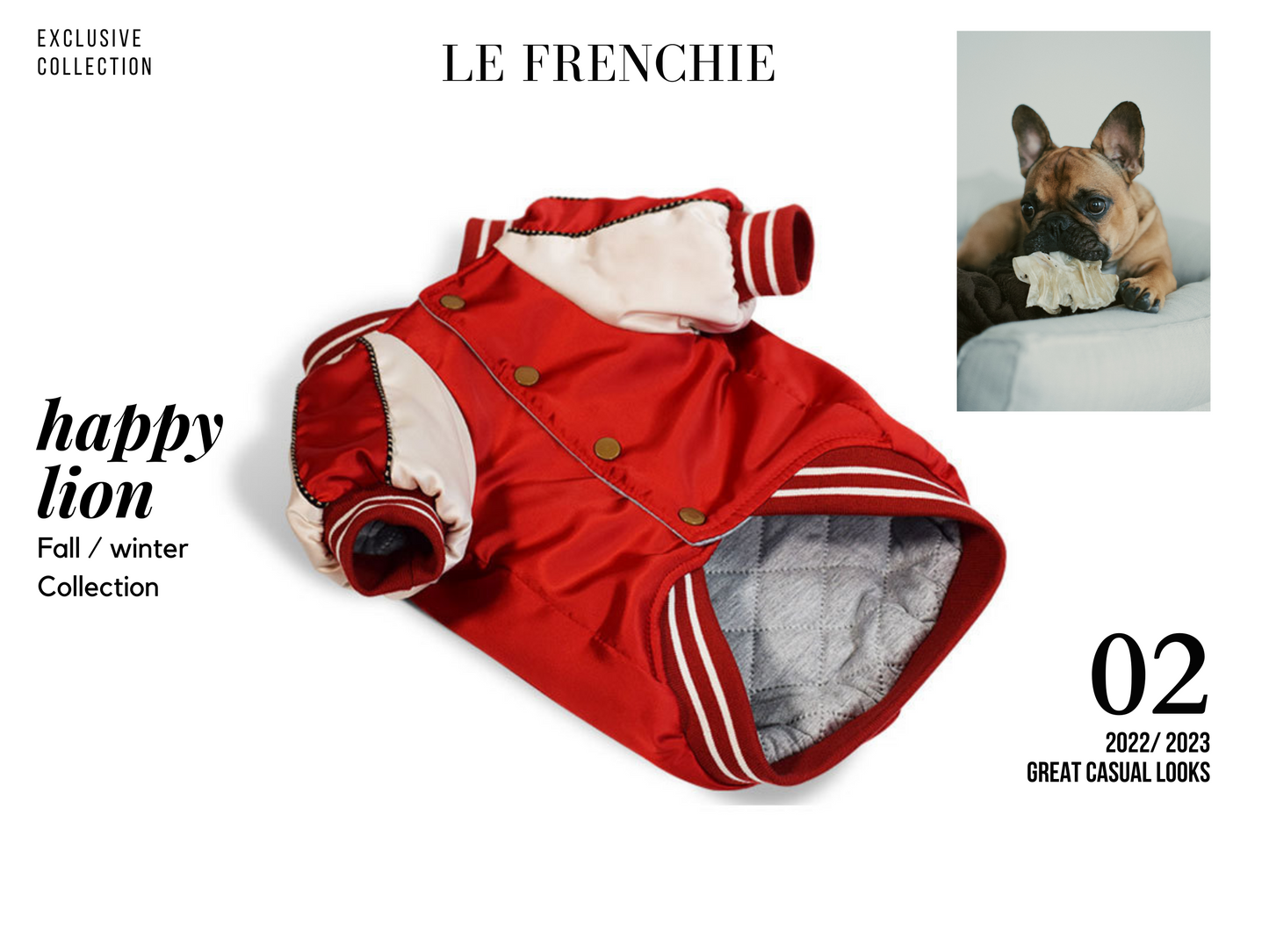 French Bulldog Varsity Bomber Jacket
