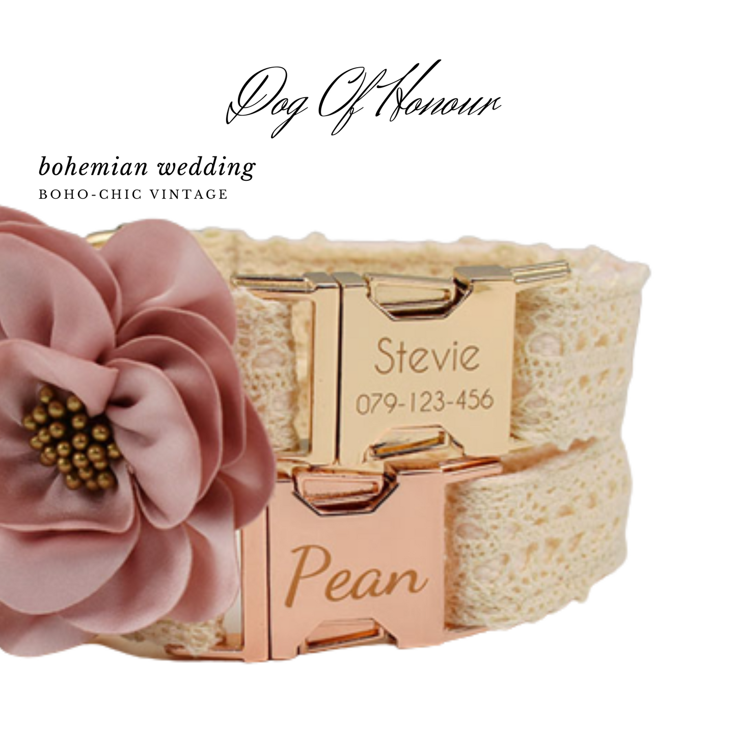 Dog Wedding beige Lace Collar