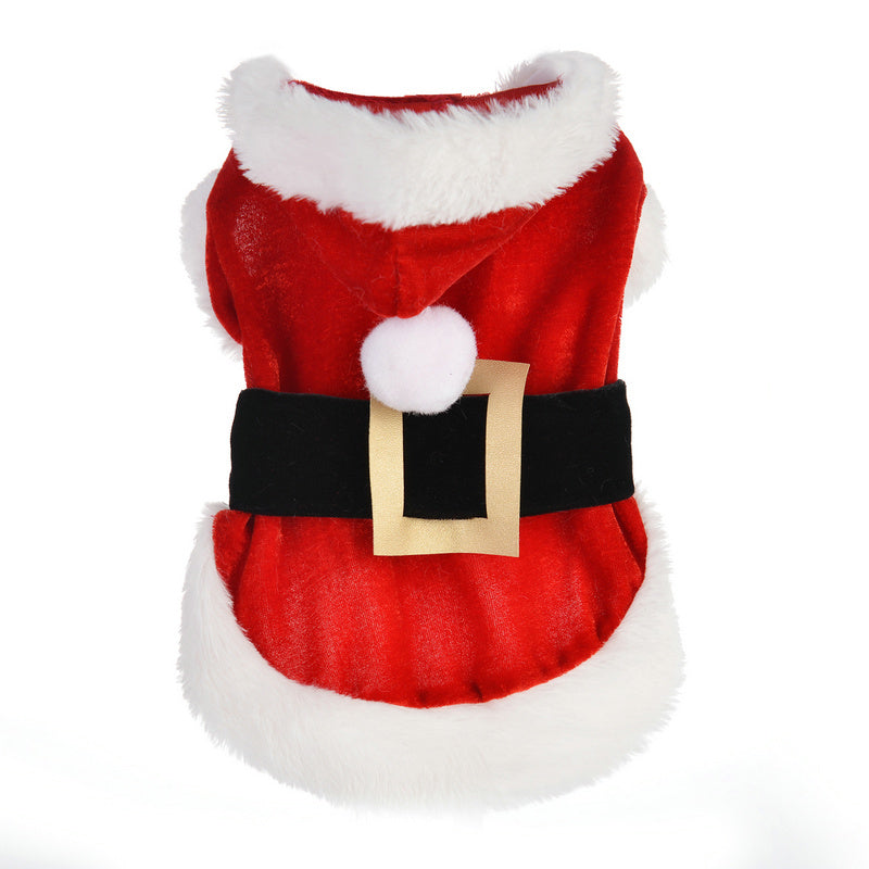 Happy Lion Dog Santa Costume
