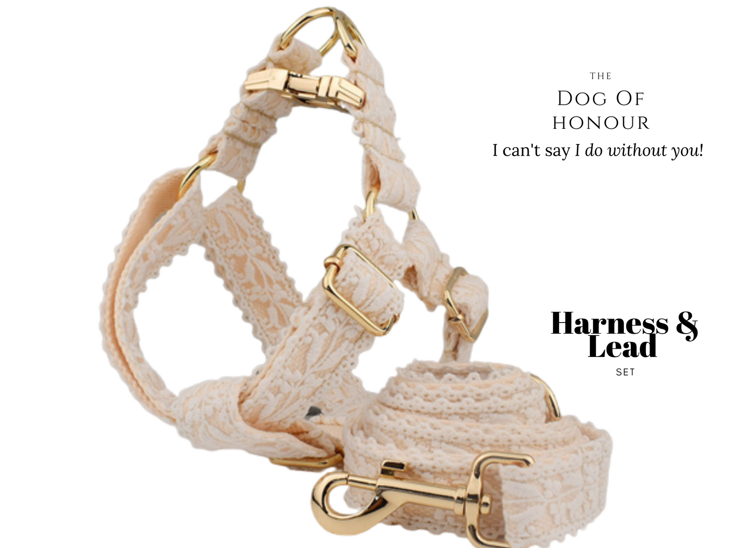 White Lace Dog Wedding Harness and Lead Set , Romantic Wedding Theme