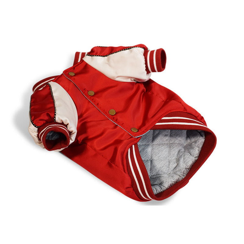 French Bulldog Varsity Bomber Jacket
