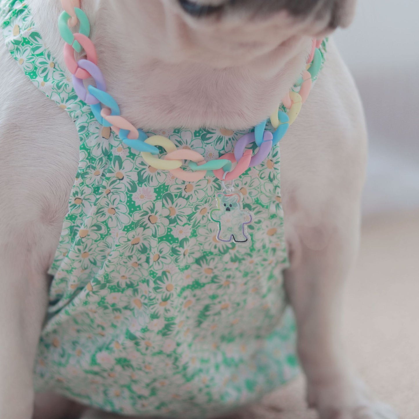 Pet Necklace Dog Cute Clothing Accessories