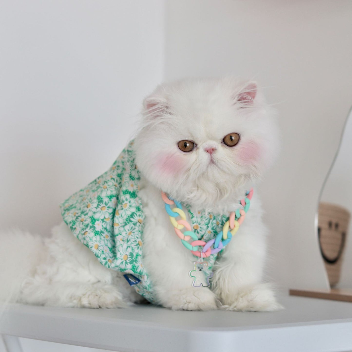 Pet Necklace Dog Cute Clothing Accessories
