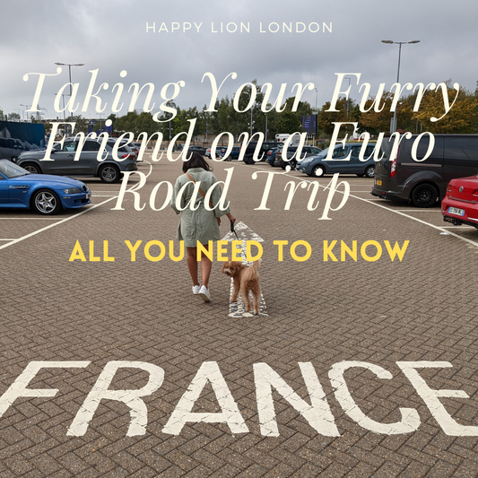 Barktastic Adventures: Taking Your Furry Friend on a Euro Road Trip with Eurotunnel from Dover