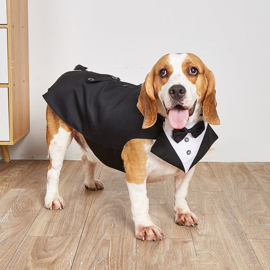 Swallowtail Dog Wedding Suit