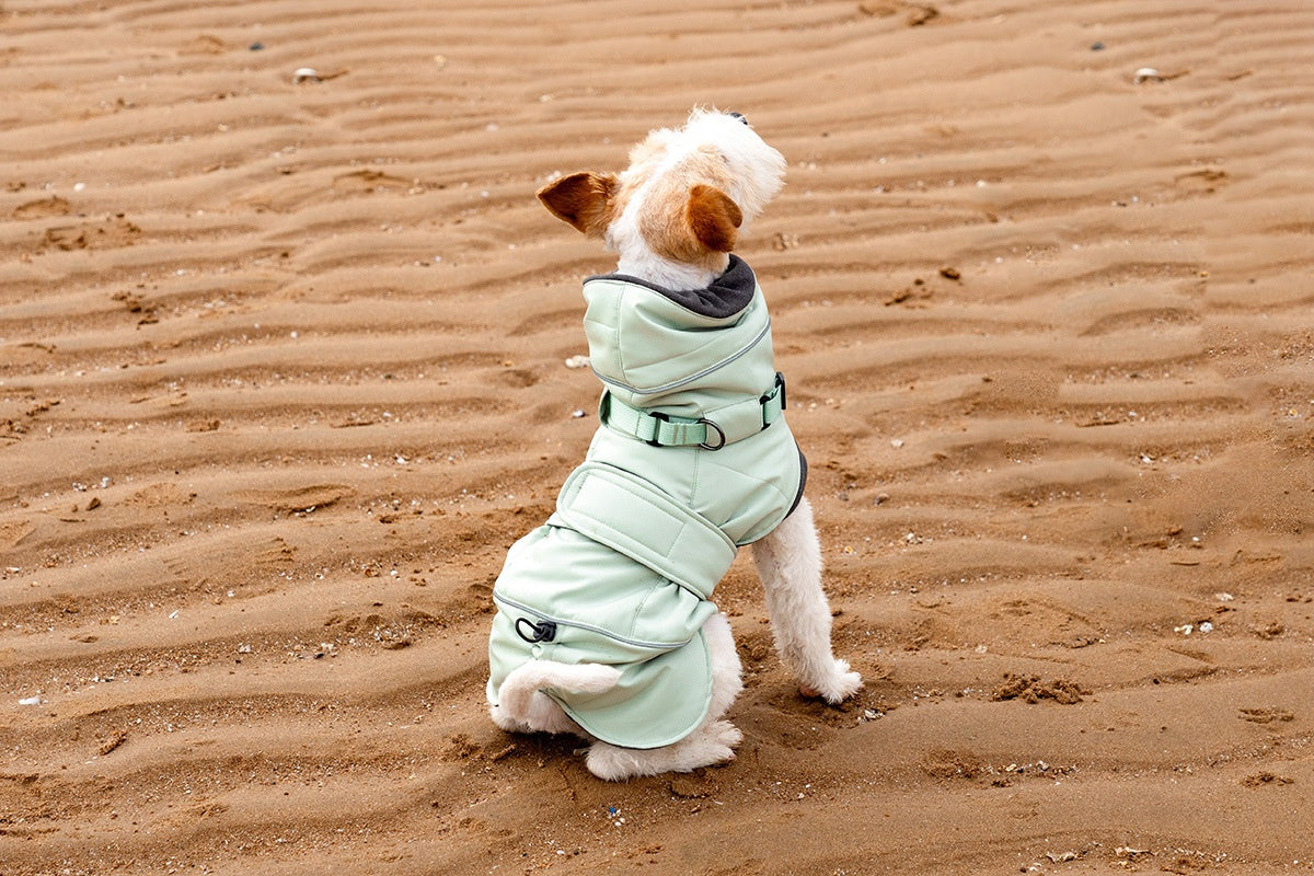 Autumn And Winter Wind-proof Dog Shell Jacket