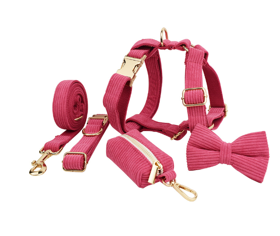 Chic Corduroy and Velvet Dog Walking Set: Leash, Collar, Bow, Harness & Poop Bag in Stylish Colors