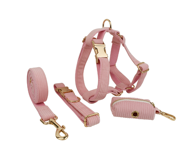 Chic Corduroy and Velvet Dog Walking Set: Leash, Collar, Bow, Harness & Poop Bag in Stylish Colors