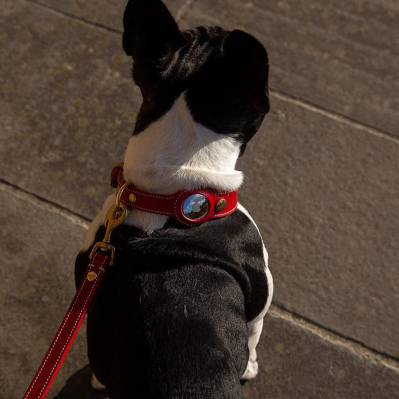 Leather dog collar with airtag holder