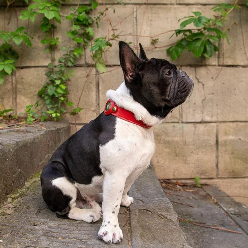 Leather dog collar with airtag holder