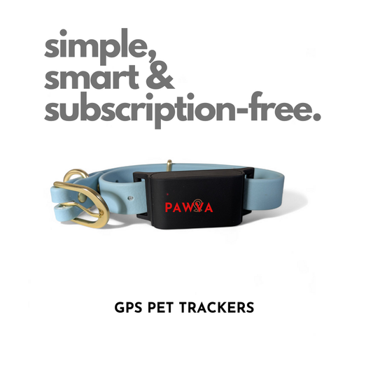 PAWVA Dog GPS Tracker With No Subscription