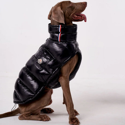 Luxury Dog Puffer Jacket – Black, White, Baby Pink & Baby Blue