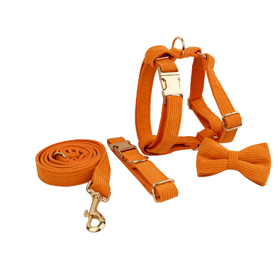 Chic Corduroy and Velvet Dog Walking Set: Leash, Collar, Bow, Harness & Poop Bag in Stylish Colors