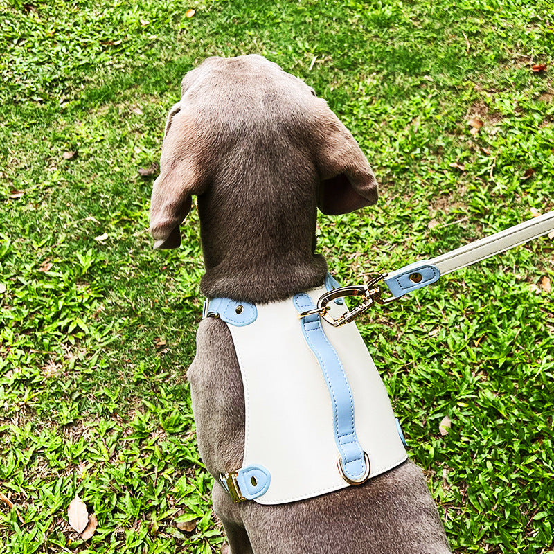 Leather Pet Vest Type Lead Rope Chest Strap