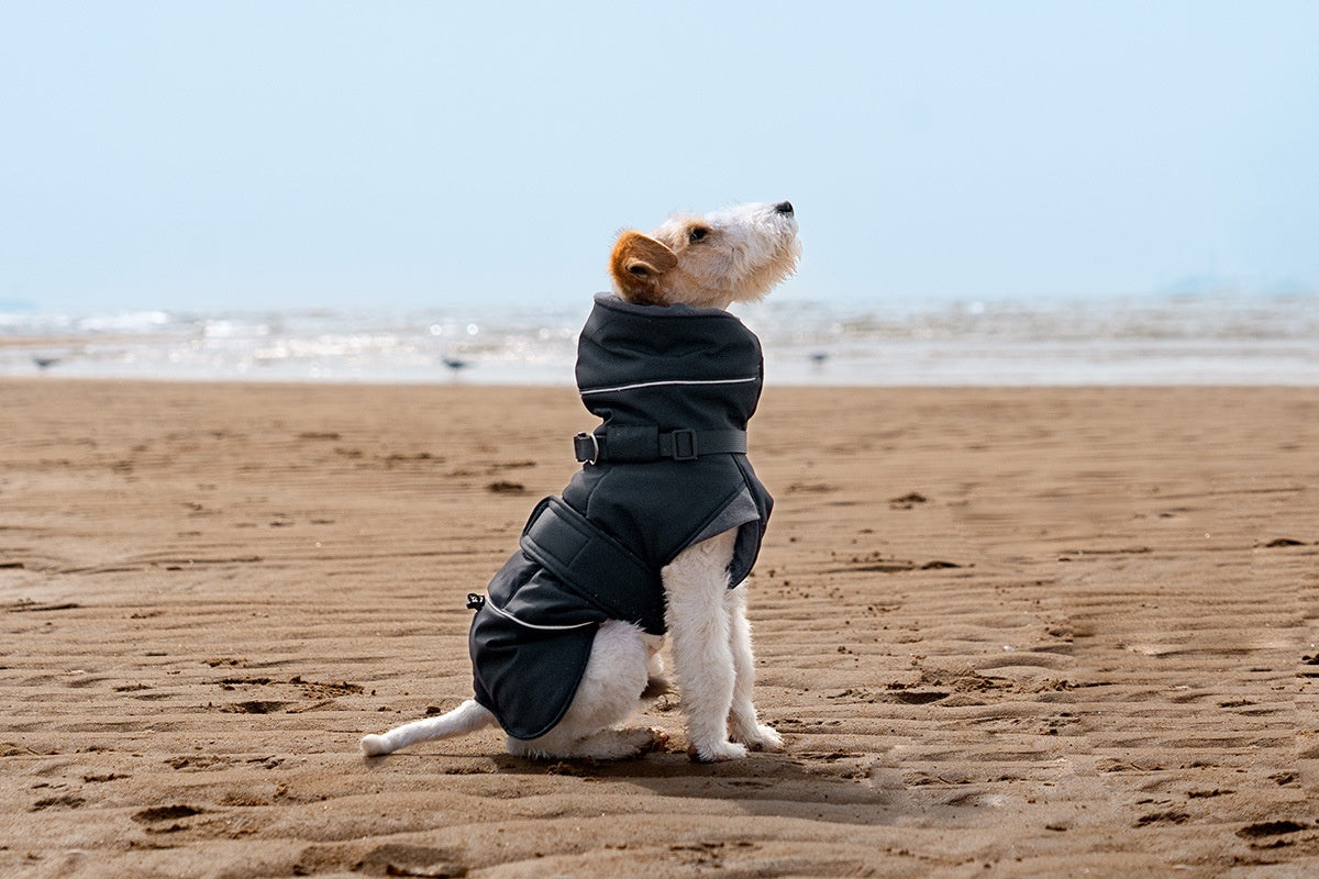 Autumn And Winter Wind-proof Dog Shell Jacket