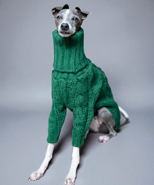 Emerald Green Knit Sweater for Italian Greyhounds & Whippets