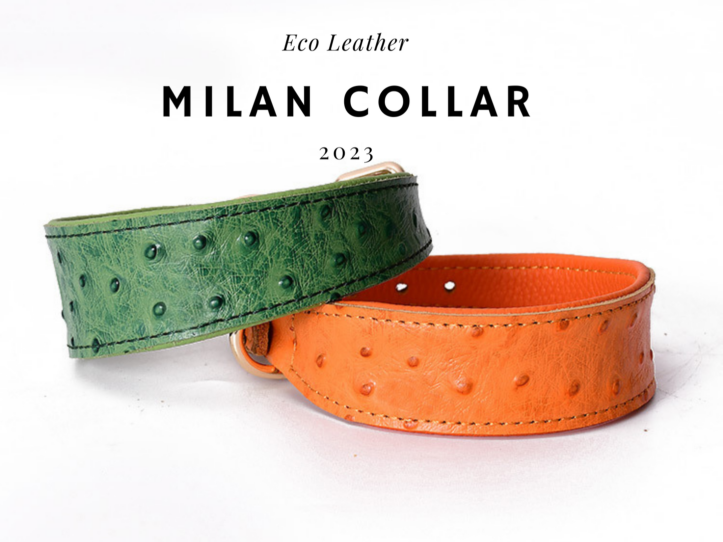 Stylish Leather Dog Collar for all Dog Breeds