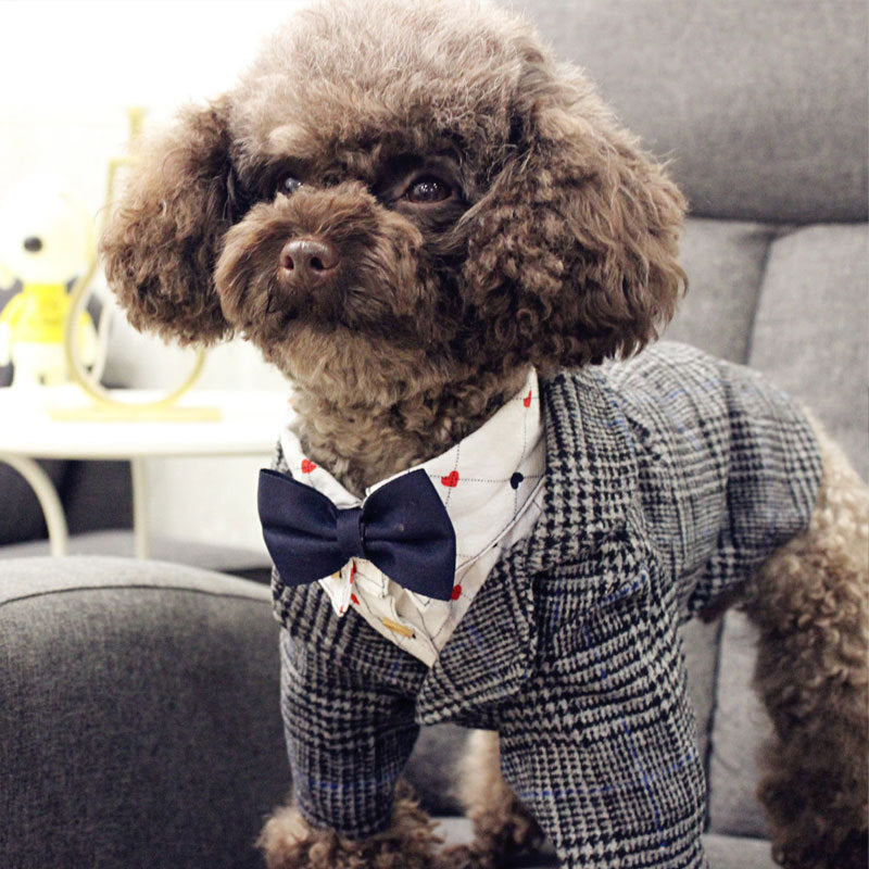 Dog Wedding Attire, Wedding Clothes for Dapper Dogs